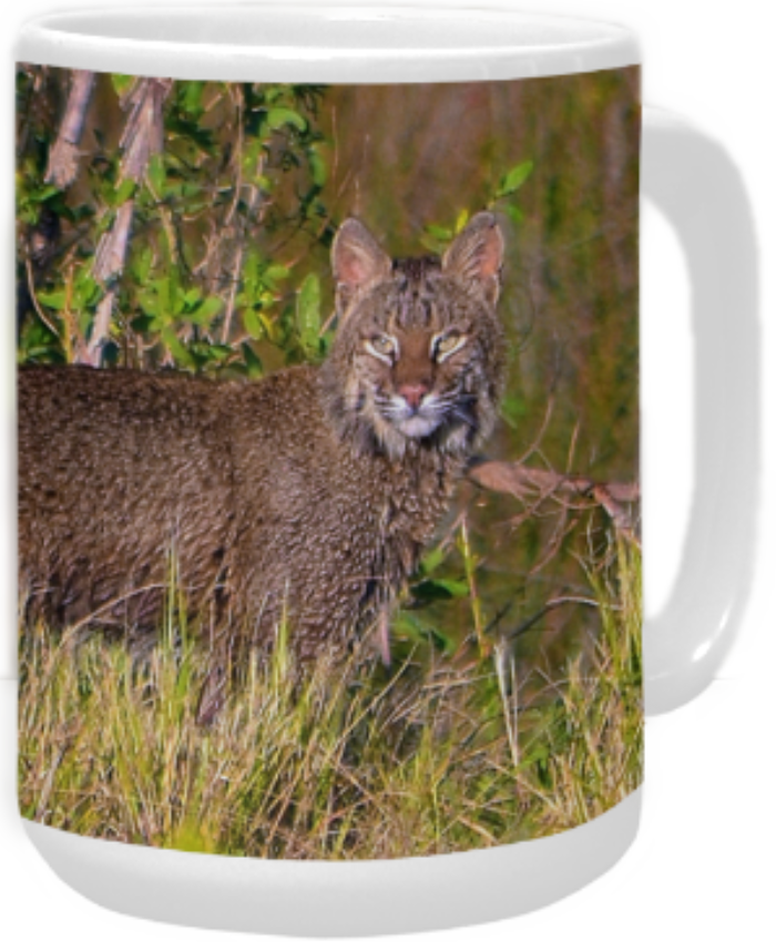 Thunder Mugs